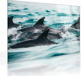 Obraz na szkle - Delfiny w oceanie (70x50 cm)