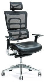 Wysokiej klasy wygodny regulowany fotel biurowy ergonomiczny Ergo 800. Siedzisko ze skóry naturalnej, oparcie tapicerowane siatką mesh. Dostępny w kolorze czarnym i śliwkowym. Nowoczesny design.