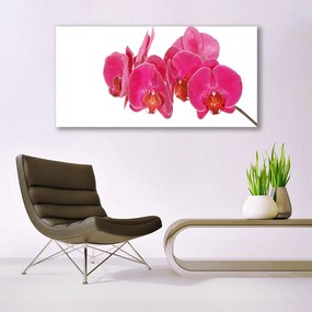 Obraz na płótnie Romantyczna Flora Ogrodowa