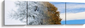 Obraz - Zmiana pór roku (170x50 cm)