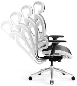 Fotel ergonomiczny Diablo V-Commander: Biało-Czarny