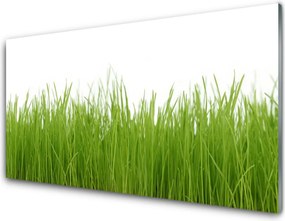 Panel Szklany do Kuchni Soczysta Zielona Trawa