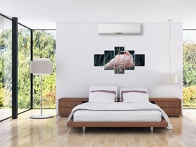 Obraz - Flaming (125x70 cm)