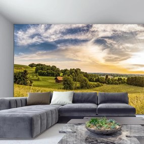 Fototapeta - Łąka (196x136 cm)