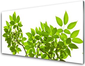 Panel Szklany do Kuchni Botaniczny Detal Roślinny