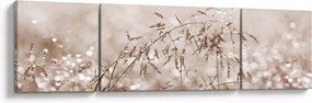 Obraz - Łąka w odcieniach brązu (170x50 cm)