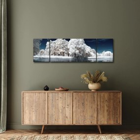 Obraz - Śnieżnobiałe drzewa (170x50 cm)