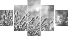 Obraz - Beżowa miękka trawa N⁰1 (125x70 cm)