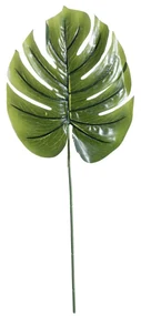 Liść Monstery szer. 23cm