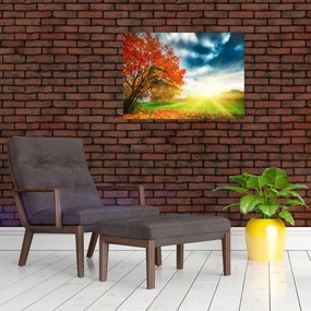 Obraz na szkle skąpanego w słońcu krajobrazu (70x50 cm)