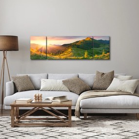 Obraz - Letni krajobraz (170x50 cm)