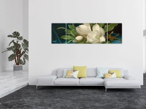 Obraz - Martin Johnson Heade, Giant Magnolias on a Blue Velvet Cloth, reprodukcje (170x50 cm)