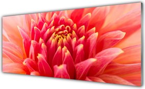 Panel Szklany do Kuchni Subtelny Pączek Kwiatowy