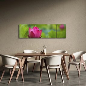 Obraz - roślina wodna (170x50 cm)
