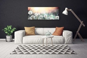 Obraz canvas Lekkość Polnych Dmuchawców