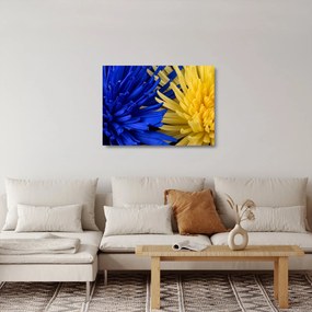 Obraz na szkle - szczegóły kwiatów (70x50 cm)