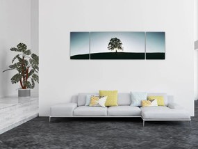 Obraz natury - drzewo (170x50 cm)