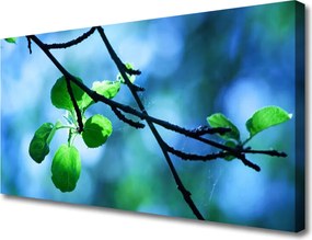 Obraz canvas Świeże Liście na Gałązce