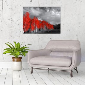 Obraz na szkle - Drzewa w kolorze jesieni (70x50 cm)