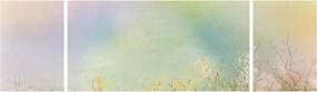 Obraz - Malowana łąka 2 (170x50 cm)