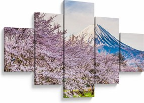 Obraz - Japonia wiosną (125x70 cm)