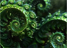 Obraz - Spirale (70x50 cm)