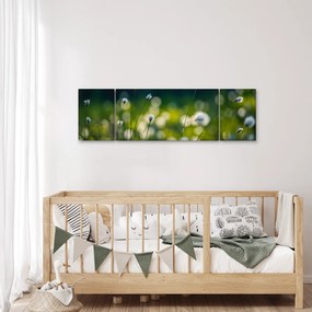 Obraz - Trawa (170x50 cm)