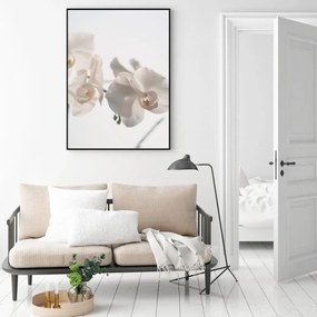 Plakat - Biała orchidea (A4)