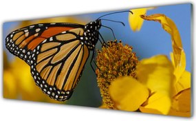Panel Szklany Kolorowy Motyl Na Kwiatku