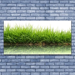Zdjęcie na płótnie Świeżość Trawy nad Wodą