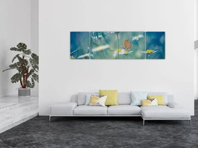 Obraz - Motyl na stokrotce (170x50 cm)
