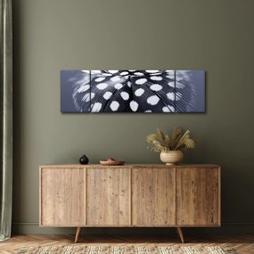 Obraz - Piórko (170x50 cm)