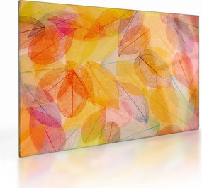 Obraz na szkle - Tło z jesiennych liści (70x50 cm)