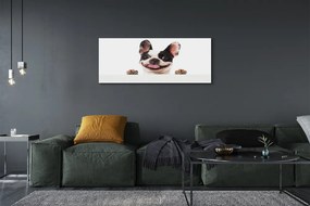 Obraz drukowany na płótnie Portret Psa