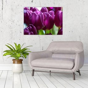 Obraz na szkle - tulipanów (70x50 cm)
