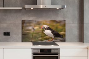 Panel Kuchenny Szklany Portret Barwnej Papugi