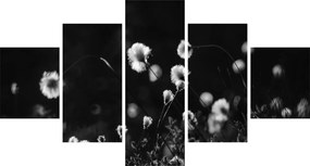 Obraz - Łąka z trawą bawełnianą N⁰1 (125x70 cm)