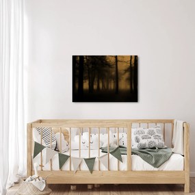 Obraz - Ciemny las (70x50 cm)