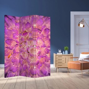 Parawan - Szczegół kwiatu (126x170 cm)