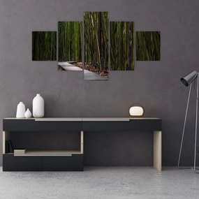 Obraz - Wśród bambusów (125x70 cm)