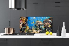 Szkło Ozdobne do Kuchni Barwne Życie Rafy Koralowej