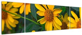 Obraz żółtych kwiatów (170x50 cm)