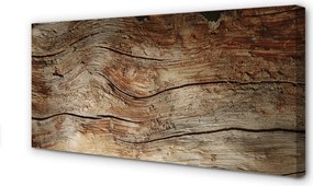 Obraz na płótnie Szlachetne Drewno I Słoje