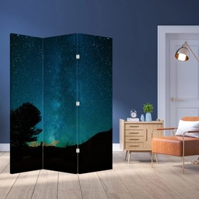 Parawan - Nocne niebo z gwiazdami (126x170 cm)