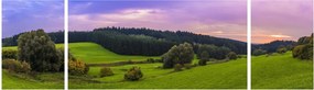 Obraz łąki (170x50 cm)