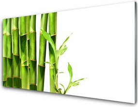 Panel Kuchenny Egzotyczny Pęd Bambusa