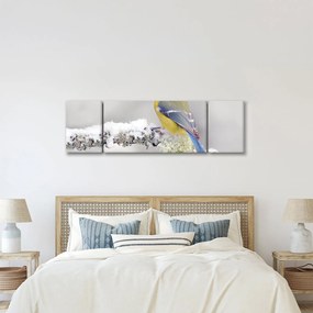 Obraz - Sikora modraszka w lesie (170x50 cm)