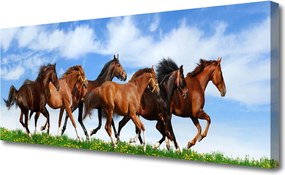 Zdjęcie na płótnie Dzikie Konie w Galopie