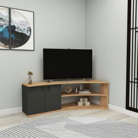 Stolik pod telewizor Temera Atlantic Pine and Anthracite