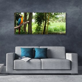 Fotoobraz na płótnie Egzotyczna Papuga w Dżungli